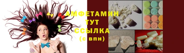 сатива Лабытнанги