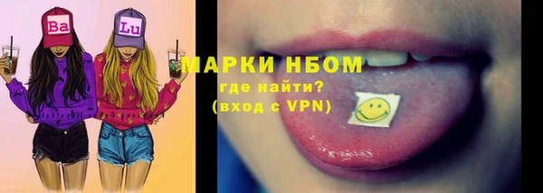 сатива Лабытнанги