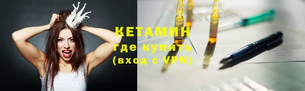 сатива Лабытнанги