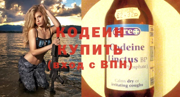 сатива Лабытнанги