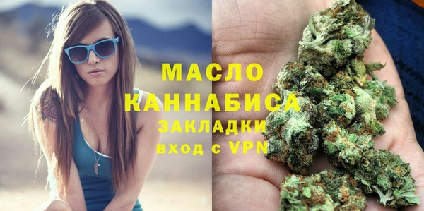 сатива Лабытнанги