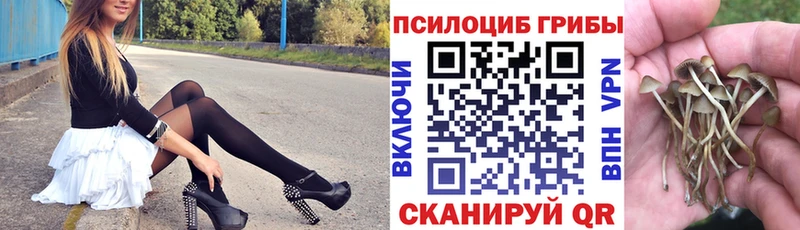 Псилоцибиновые грибы ЛСД  Купить  Калачинск 